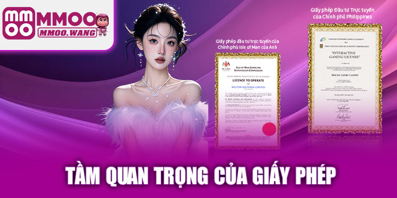 Giấy phép hoạt động MMOO quan trong như thế nào?
