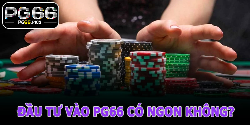 Đầu Tư Vào PG66 Có Ngon Không? Hay Như Muối Bỏ Bể?